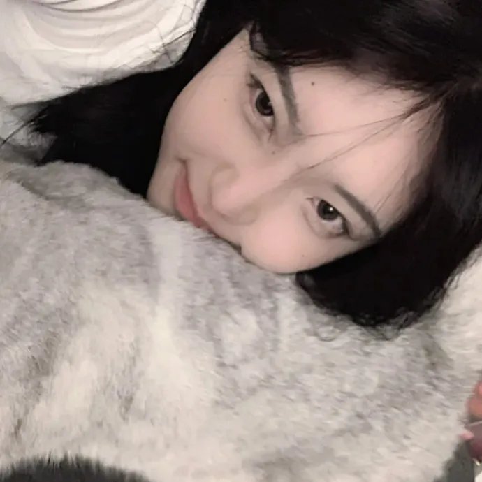 顽皮豹之怀念探长